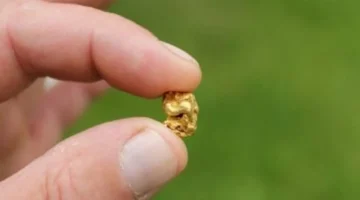 خسائر قوية.. الذهب يلامس 4800 دولار عالمياً مع تحرك سعر عيار 21 المصنعي